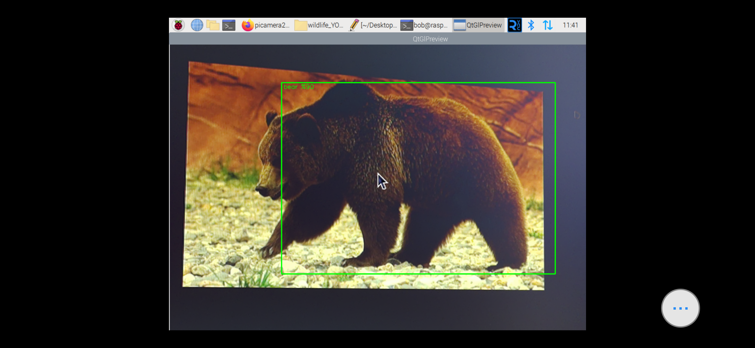 Proje ai_camera_trap-2