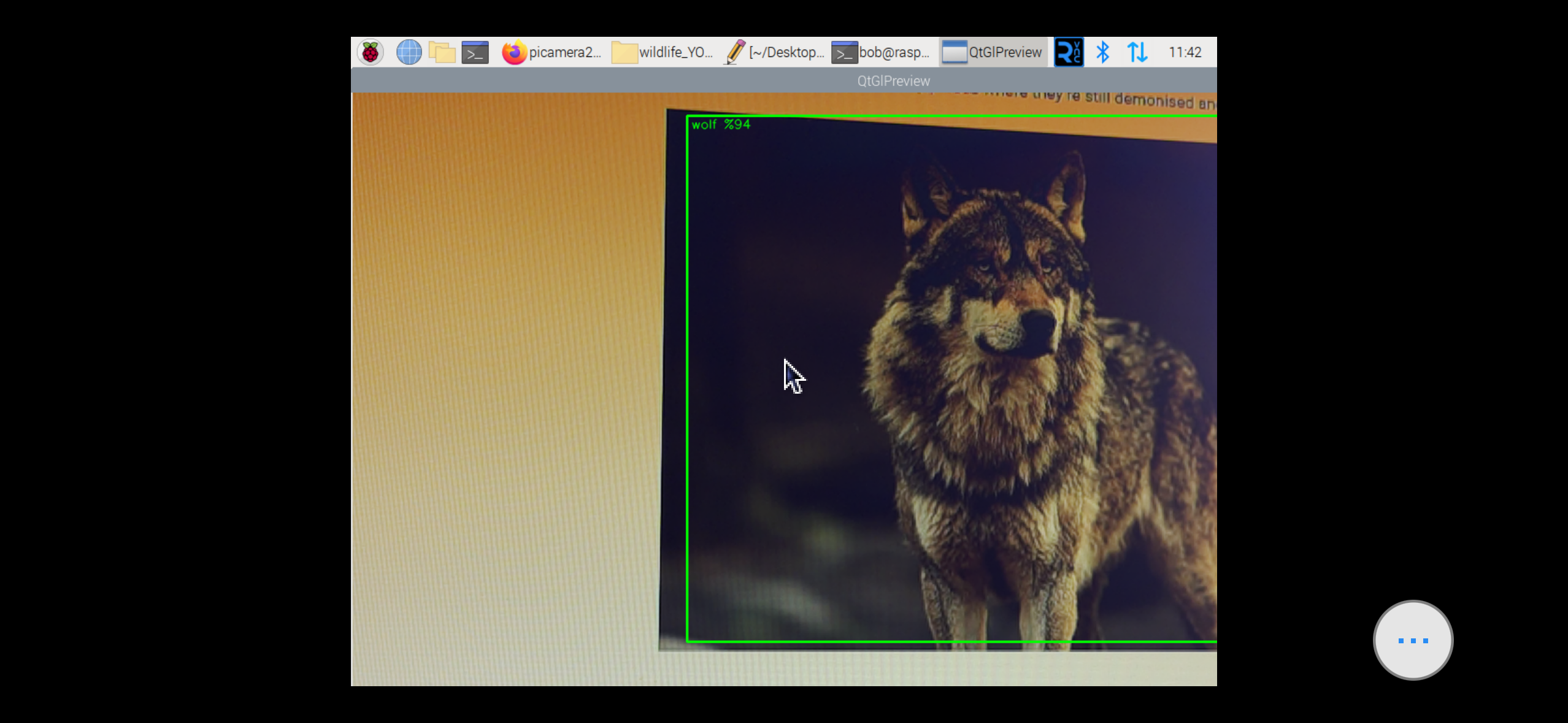 Proje ai_camera_trap-5