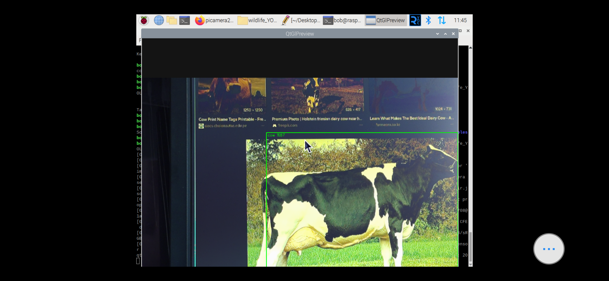 Proje ai_camera_trap-6
