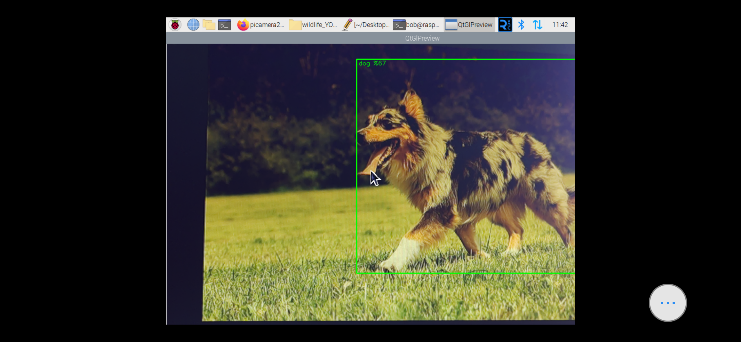 Proje ai_camera_trap-7