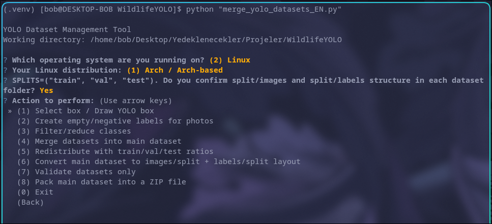Proje merge_datasets-1